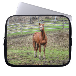 Funny Chestnut Stallion Horse Whinnying Photo Laptop Sleeve