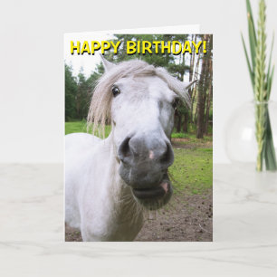 Funny cheval personnalisable carte de voeux