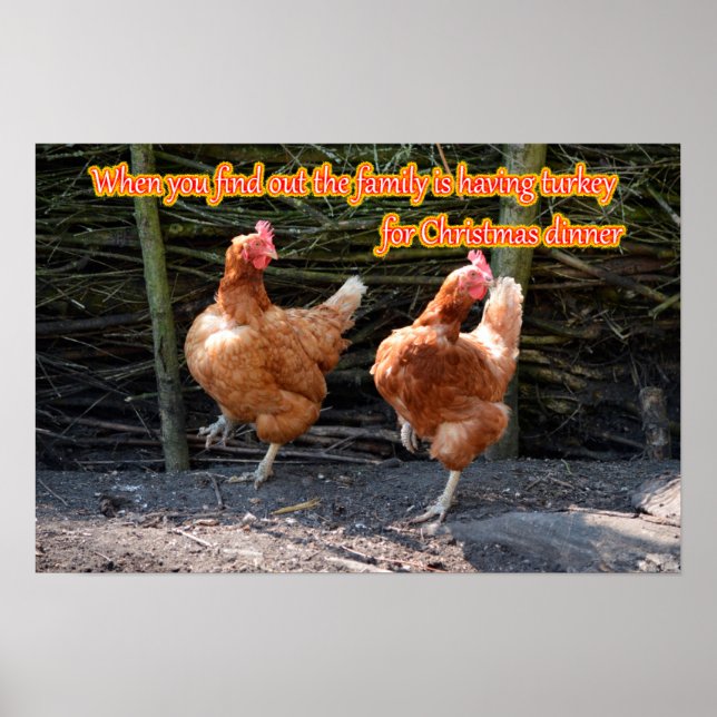 Funny Chicken and Rooster Memes with Funny Images Poster (Front)