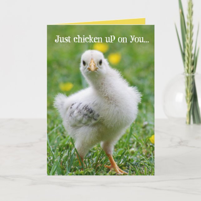 Funny Chicken Checkin' Up On You Card (Front)