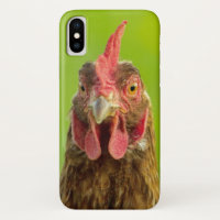 Funny Chicken Face on Green