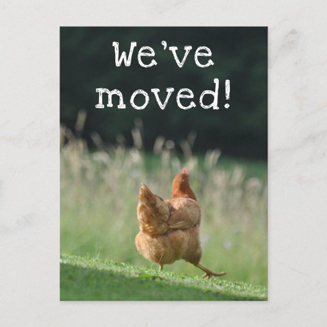 Funny Chicken New Address We've moved Announcement Postcard (Front)