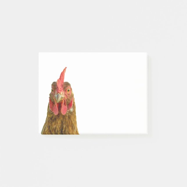 Funny Chicken Portrait Photo on White Post-it Notes (Front)