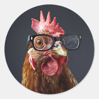 Funny Chicken Wearing Glasses
