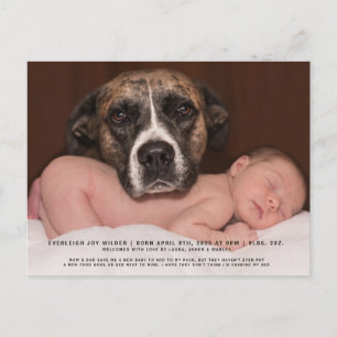 Funny Chien Baby Photo Faire-part de naissance