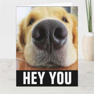 FUNNY CHIEN HELLO TOUTE FOIS GREETING CARTE