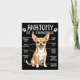 Funny Chihuahua Anatomy Of A Chihuahua Dog Owner P Card