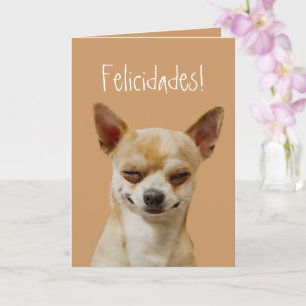 Funny Chihuahua Dog to Customize for a Birthday Card