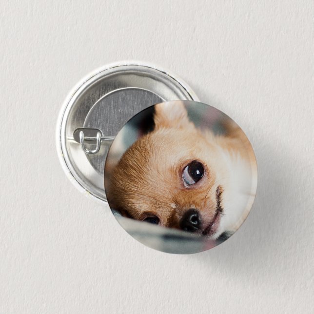 Funny Chihuahua Face 1 Inch Round Button (Front & Back)