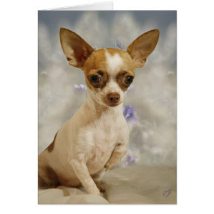 Funny Chihuahua Puppy (Cream/Brown) First Step