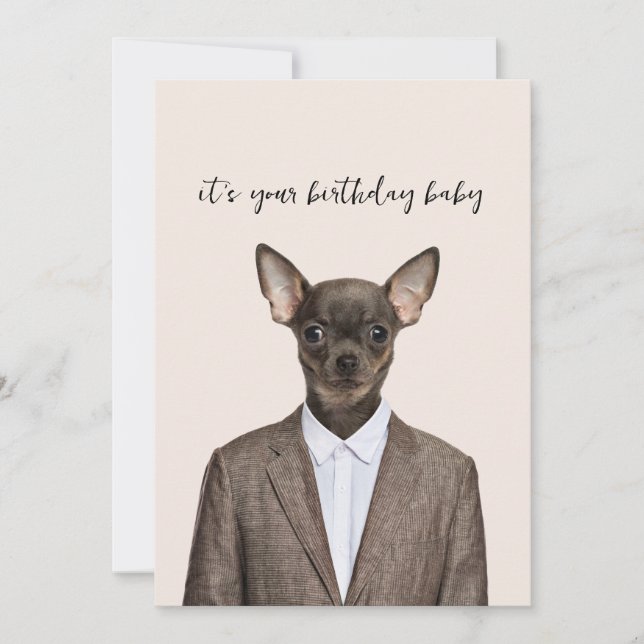 Funny chihuahua wearing suit holiday card (Front)