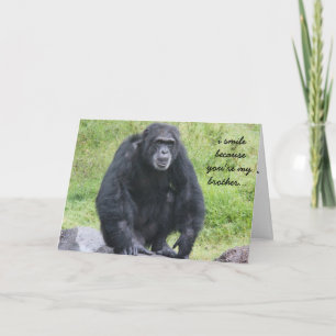 Funny Chimapanzee Birthday card for brother