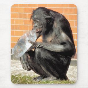 FUNNY CHIMP MOUSE PAD