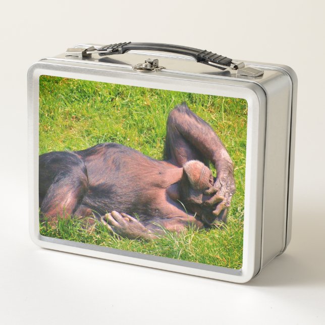 Funny Chimpanzee Animal Metal Lunch Box (Front)