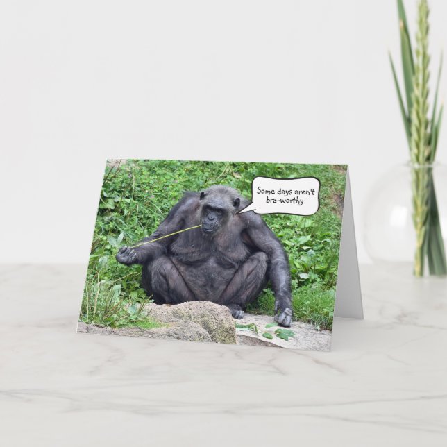 Funny Chimpanzee On a Rock Card (Front)