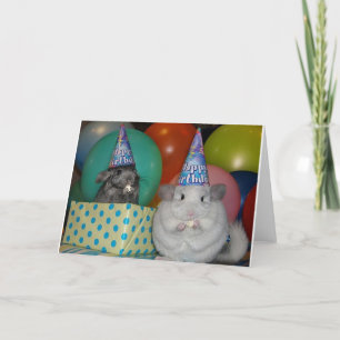 Funny Chinchilla carte d'anniversaire