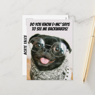 Funny Chinese Pug Cute Puppy Dog Animal Theory  Holiday Postcard