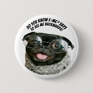 Funny Chinese Pug Puppy Dog Theory Acute Tales The 2 Inch Round Button