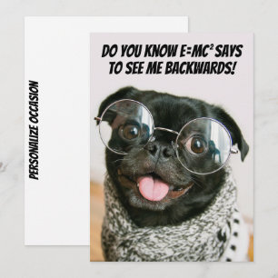 Funny Chinese Pug Puppy Dog Theory Acute Tales The Holiday Card