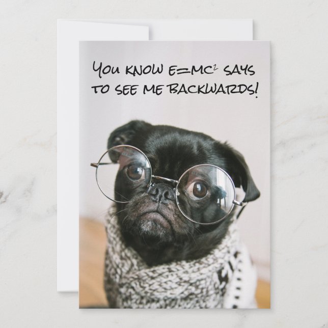 Funny Chinese Pug Puppy Dog Theory Scientist Spec Holiday Card (Front)