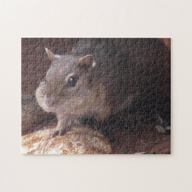 Funny Chipmunk with Food in Cheeks cute animals Jigsaw Puzzle (Horizontal)