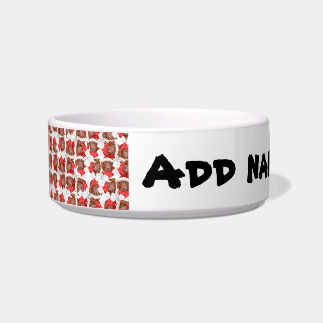 Funny Chocolate Dachshund Name Christmas Pattern Bowl (Front)