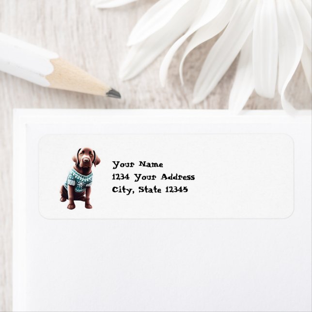 Funny Chocolate Lab en Sweat de Noël Adresse (En situation)