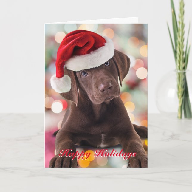 Funny Chocolate Lab Puppy with Santa Hat Card (Front)