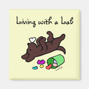 Funny Chocolate Labrador Cartoon Illustration Magnet