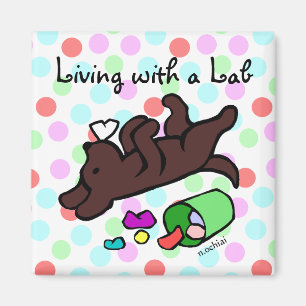 Funny Chocolate Labrador Cartoon Polka Dot Magnet
