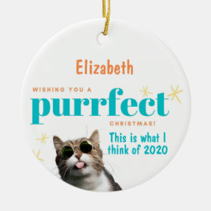 FUNNY Christmas 2020 Ornament Cat and Toilet Paper