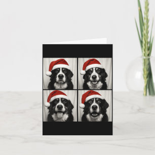 Funny Christmas Bernese Mountain Dog Santa Photo B Card