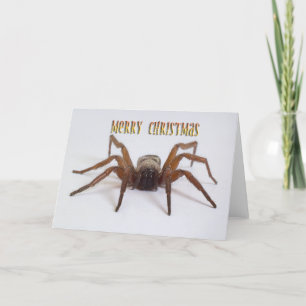Funny Christmas card