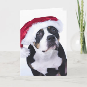 Funny Christmas Card