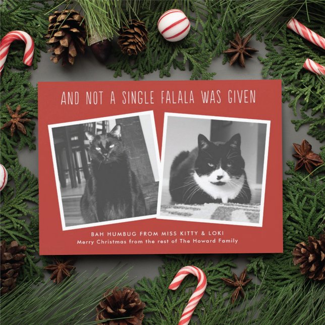 Funny Christmas Cards for Naughty Pet Owners (Creator Uploaded)