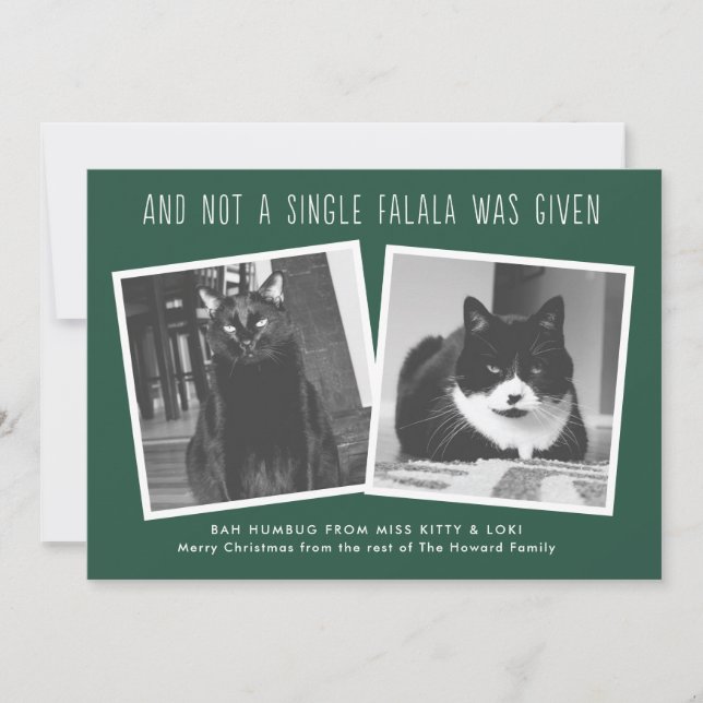 Funny Christmas Cards for Naughty Pet Owners (Front)