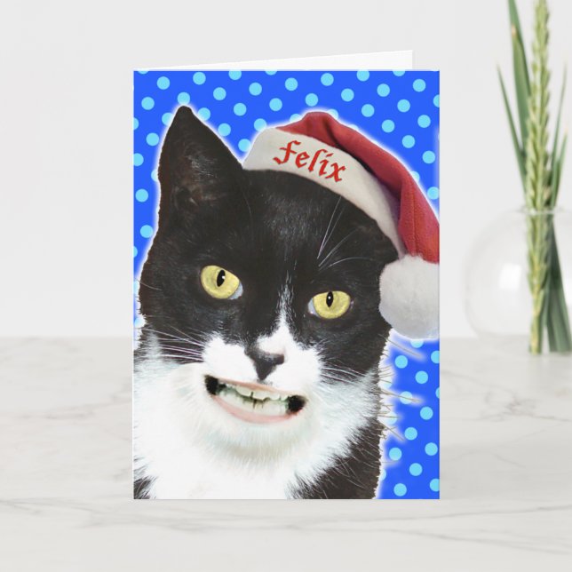 Funny Christmas Cat Greeting Card (Front)
