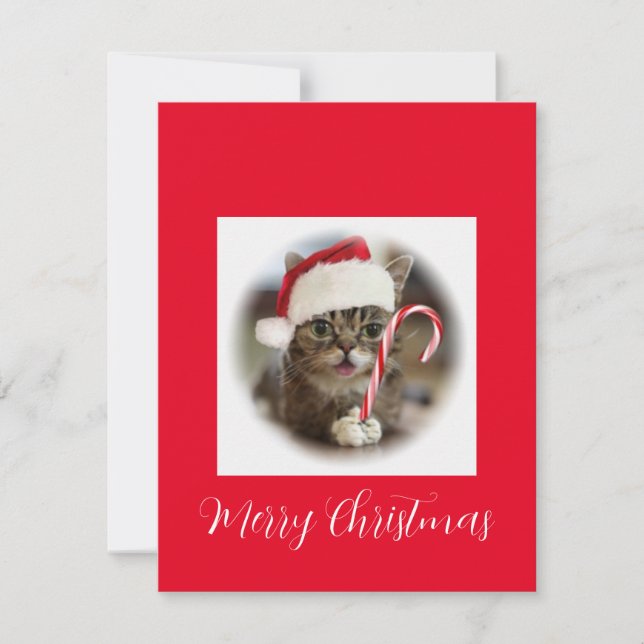 Funny Christmas Cat Holding Candy Cane Holiday Card (Front)