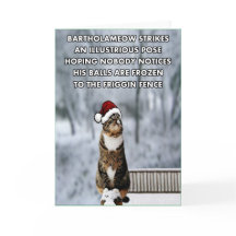 Funny Christmas cat