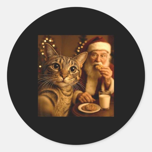 Funny Christmas Cat Selfie With Santa Claus Meme M Classic Round Sticker (Front)