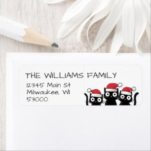 Funny Christmas Cats Holiday