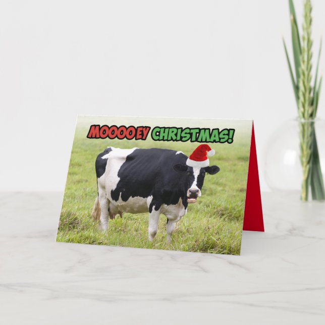 Funny Christmas Cow- Moooey Christmas Card (Front)