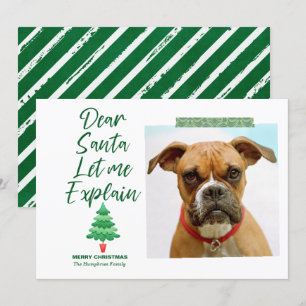 Funny Christmas Dear Santa Let Me Explain Green Ho Holiday Card