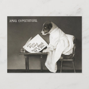 Funny Christmas Dog Xmas Expectations Holiday
