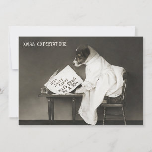 Funny Christmas Dog Xmas Expectations Holiday Card