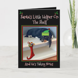 Funny Christmas "ELF" Basset On A Shelf Card