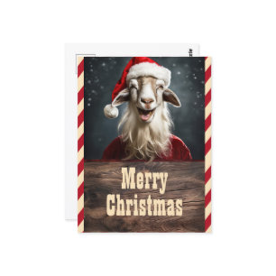 Funny Christmas Goat Postcard