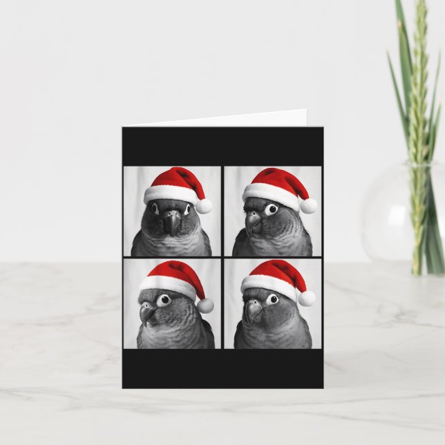 Funny Christmas Green Cheek Conure Santa Photo Boo Card (Front)