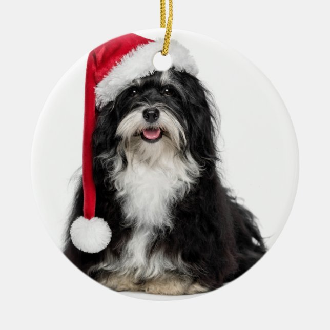 Funny Christmas Havanese Dog With Santa Hat Metal Ornament (Front)
