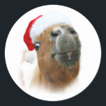 Funny Christmas horse Classic Round Sticker<br><div class="desc">Funny horse or pony wears a Santa hat and looks to see if you're watching how cute he is horse lovers Christmas holiday sticker</div>